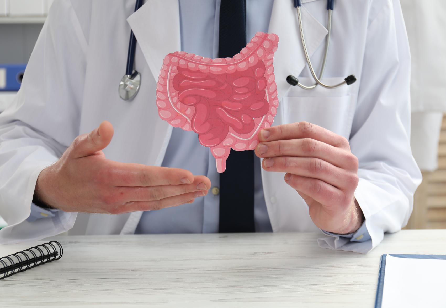 Próstata e Microbiota Intestinal: A Nova Ligação que Está a Transformar a Saúde Masculina