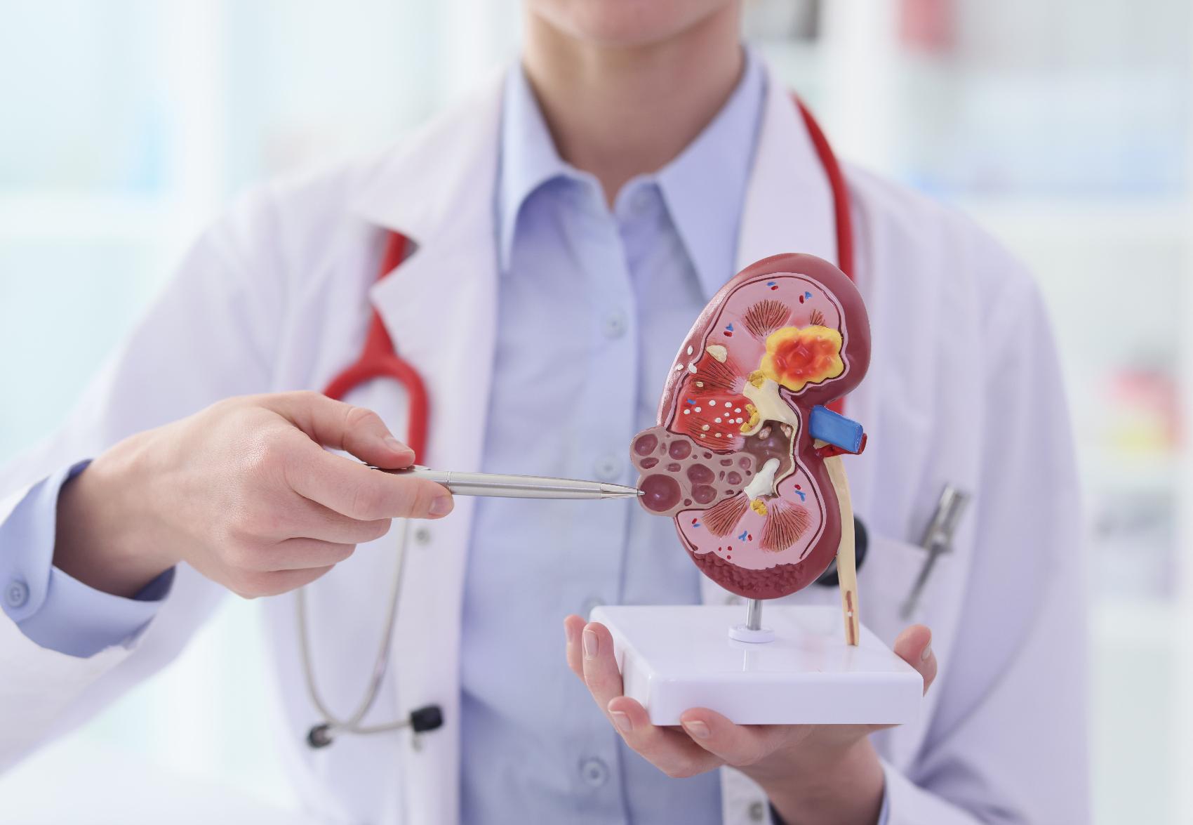 Sintomas do Trato Urinário: Prevalentes, Subdiagnosticados, Subtratados e Sub-valorizados